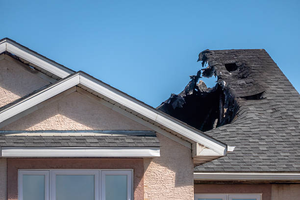 Licensed Odor Removal service in Pinellas Park, FL - Fire Damage Biloxi